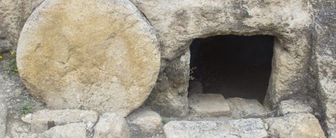 Reconciling Accounts of the Resurrection